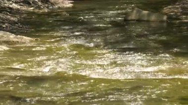 Kafkas Dağları. Dağ nehri zhane.