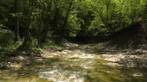 Kaukasiska Berg Berg Flod Zhane — Stockvideo