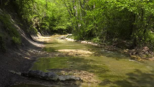 Montagne Caucasiche Fiume Zhane — Video Stock