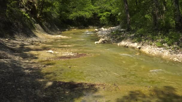 Montañas Caucásicas Río Montaña Zhane — Vídeos de Stock