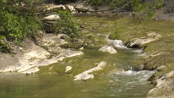 Montanhas Caucasianas Rio Montanha Zhane — Vídeo de Stock