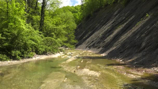 Montagne Caucasiche Fiume Zhane — Video Stock