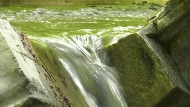 Montañas Caucásicas Río Montaña Zhane — Vídeos de Stock