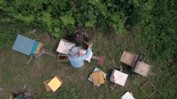 Apiário Montanha Apicultores Trabalhar Vista Aérea — Vídeo de Stock