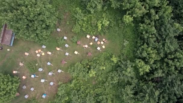 Rucher Montagne Apiculteurs Travail Vue Aérienne — Video