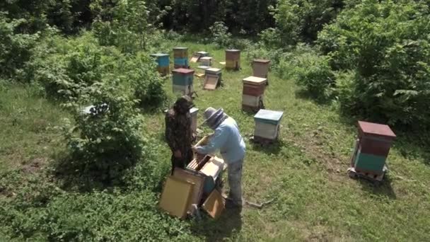 Mountain Apiary Beekeepers Work Aerial View — Stock Video
