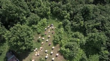 Dağ apiary. Arıcılar işte. Havadan görünüm.