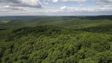 Dağ apiary. Arıcılar işte. Havadan görünüm.