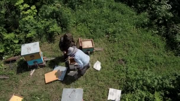 Apiário Montanha Apicultores Trabalhar Vista Aérea — Vídeo de Stock