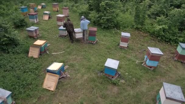 Colmenar Montaña Apicultores Trabajo Vista Aérea — Vídeos de Stock