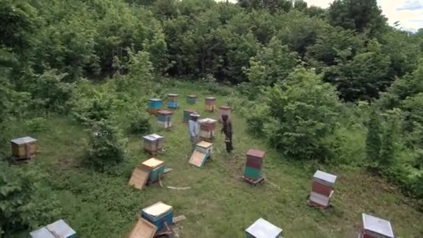 Apiário Montanha Apicultores Trabalhar Vista Aérea — Vídeo de Stock