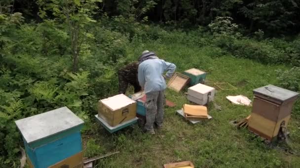 Berg Bijenstal Bijenhouders Het Werk Luchtfoto — Stockvideo