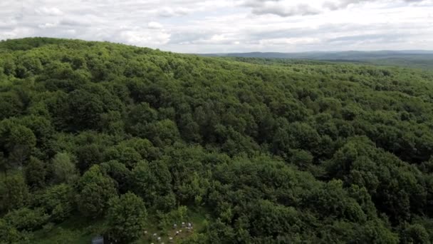 Berg Bijenstal Bijenhouders Het Werk Luchtfoto — Stockvideo