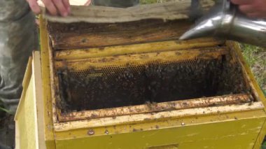 Dağ apiary. Arıcılar iş başında.