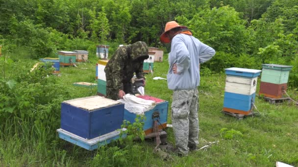 Apiario Montagna Apicoltori Lavoro — Video Stock