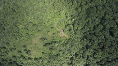 Dağ apiary. Havadan görünüm.