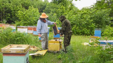 Dağ apiary. Arıcılar iş başında.