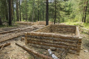 Orman arsa üzerinde kütük kabin üretimi.
