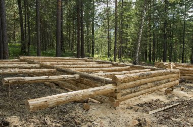 Orman arsa üzerinde kütük kabin üretimi.