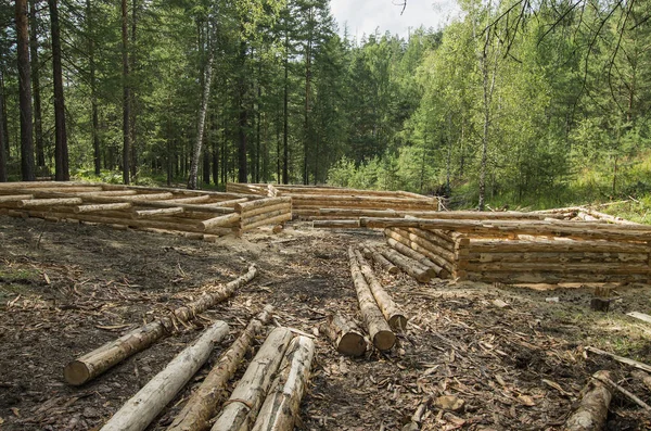 Producción Cabañas Madera Parcela Forestal — Foto de Stock