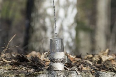 Bir bardağa huş sapı dökme.