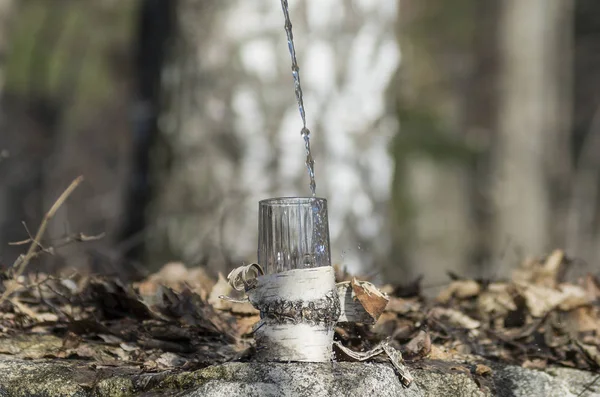 Pouring Birch Sap Glass — Stock Photo, Image