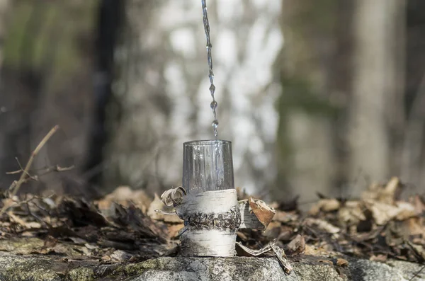 Pouring Birch Sap Glass — Stock Photo, Image