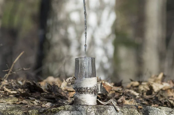 Pouring Birch Sap Glass — Stock Photo, Image