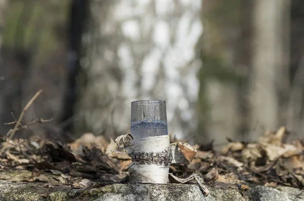 Pouring Birch Sap Glass — Stock Photo, Image