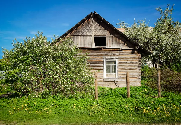 Wooden Russian house among the greenery. Spring