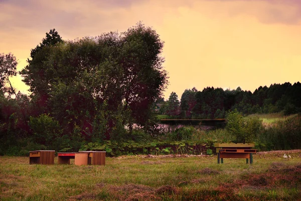 Tisch Und Stühle Stehen Auf Einer Liegewiese Garten — Stockfoto