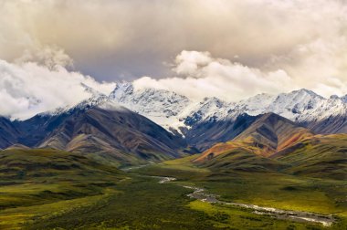 Yeşil vadi ve Denali dağlarda Polycrhrome
