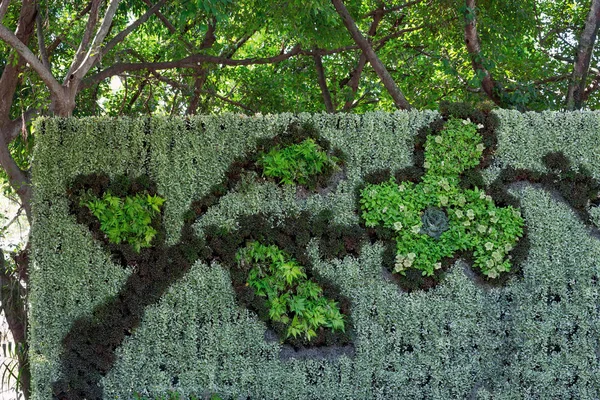 Dekorative Vertikale Landschaftsgestaltung Park — Stockfoto