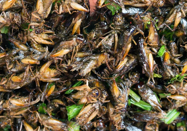 Konstiga Insekter Stekt Mat Smaka Bra Mat Från Thailand — Stockfoto