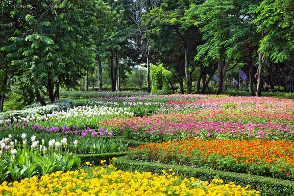 Paisajismo Vertical Acción Parque — Foto de Stock