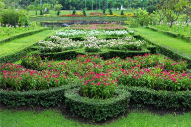 Doğal olarak uyum için dikey bahçe dekorasyon.