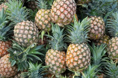 Ananas piyasada satışa yığınları.