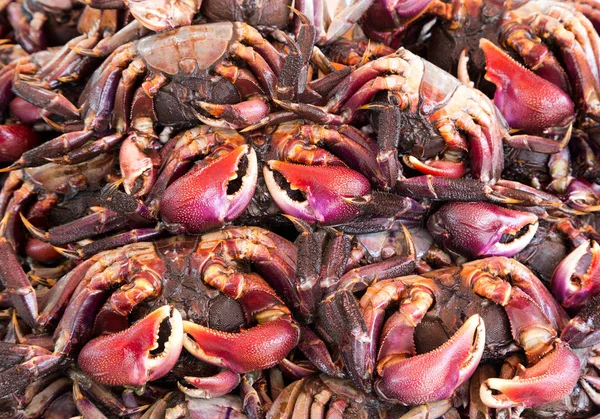 Färger Och Mönster Saltad Krabba För Matlagning — Stockfoto