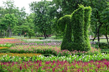 Parkta dikey bahçe dekor.