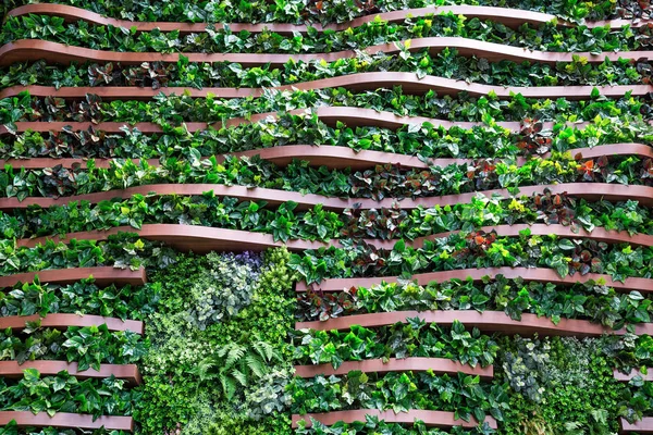 Vertikale Gartendekoration Der Holzwand — Stockfoto