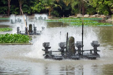 Suda oksijen içeriği artırmak için su türbinleri.