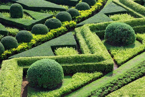 Vertikal Trädgårdsarbete Parken — Stockfoto