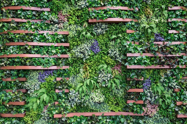 Träväggar Dekorerad Med Konstgjorda Växter — Stockfoto