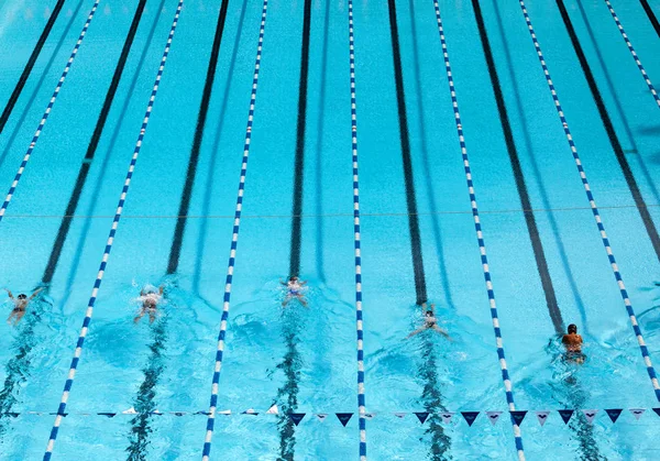 Fågel Över Blå Pool Med Simmare — Stockfoto