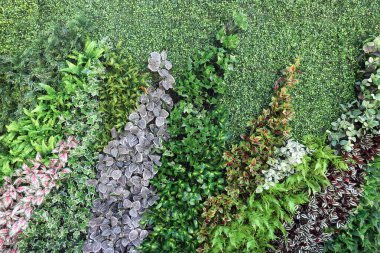                 Duvar yapay bitkilerle süslenmiş..                       