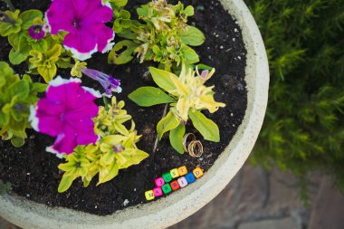 Çok renkli harfler sadece yüzük çiçek ile tencerede ile evli.