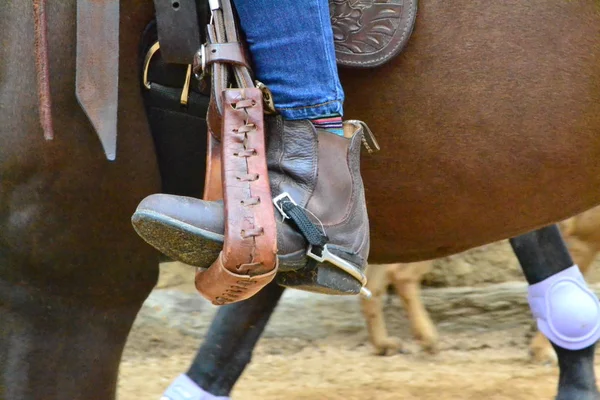 Horse Rider Legs Stirrip — Stock Photo, Image