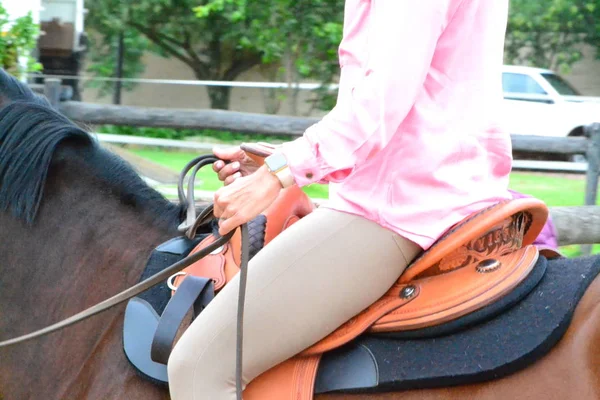 Reiten Sattel — Stockfoto