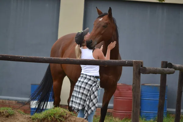 Mädchen Hat Spaß Mit Pferd — Stockfoto