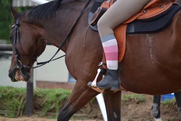 Horse Rider Zittend Het Paard — Stockfoto